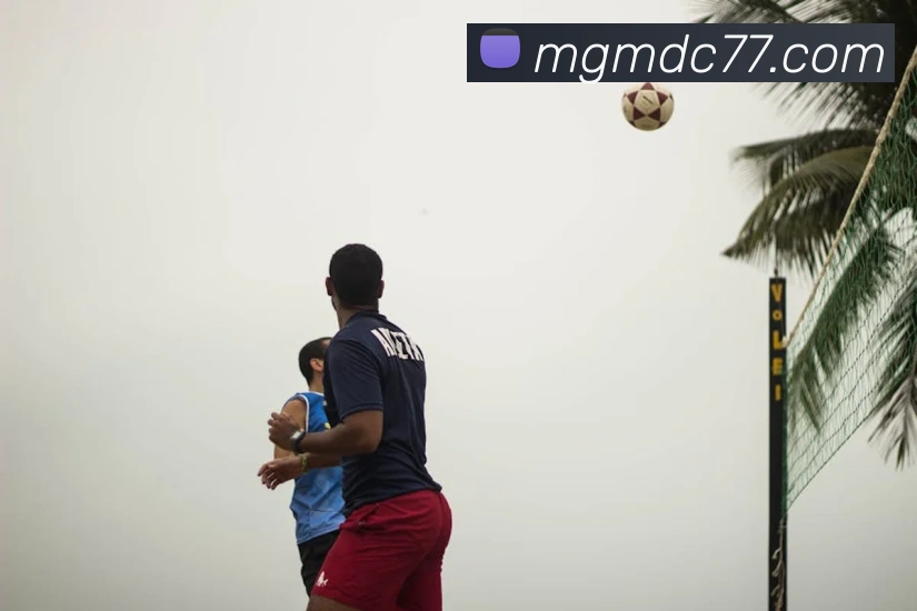 美高梅官网首页平台生态图